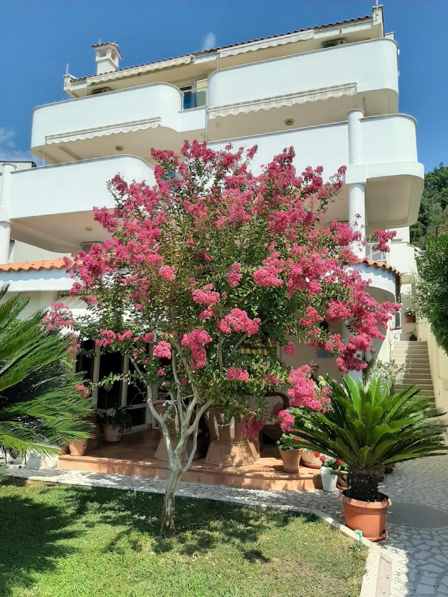 Apartments Villa Mare Mar Сутоморе Екстер'єр фото